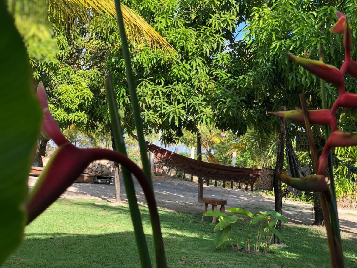 Ocacocar - Milagres Villa Sao Miguel dos Milagres Ngoại thất bức ảnh